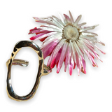 Anillo Reina