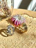 Anillo Filas Circo
