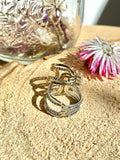 Anillo Filas Circo