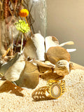 Anillo Marián