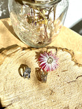 Anillo Filas Circo